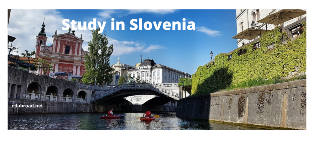 study in slovenia consultants Kochi