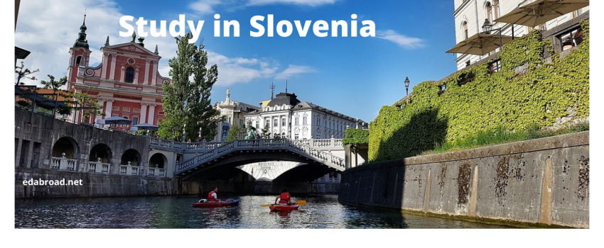 study in slovenia consultants Kochi